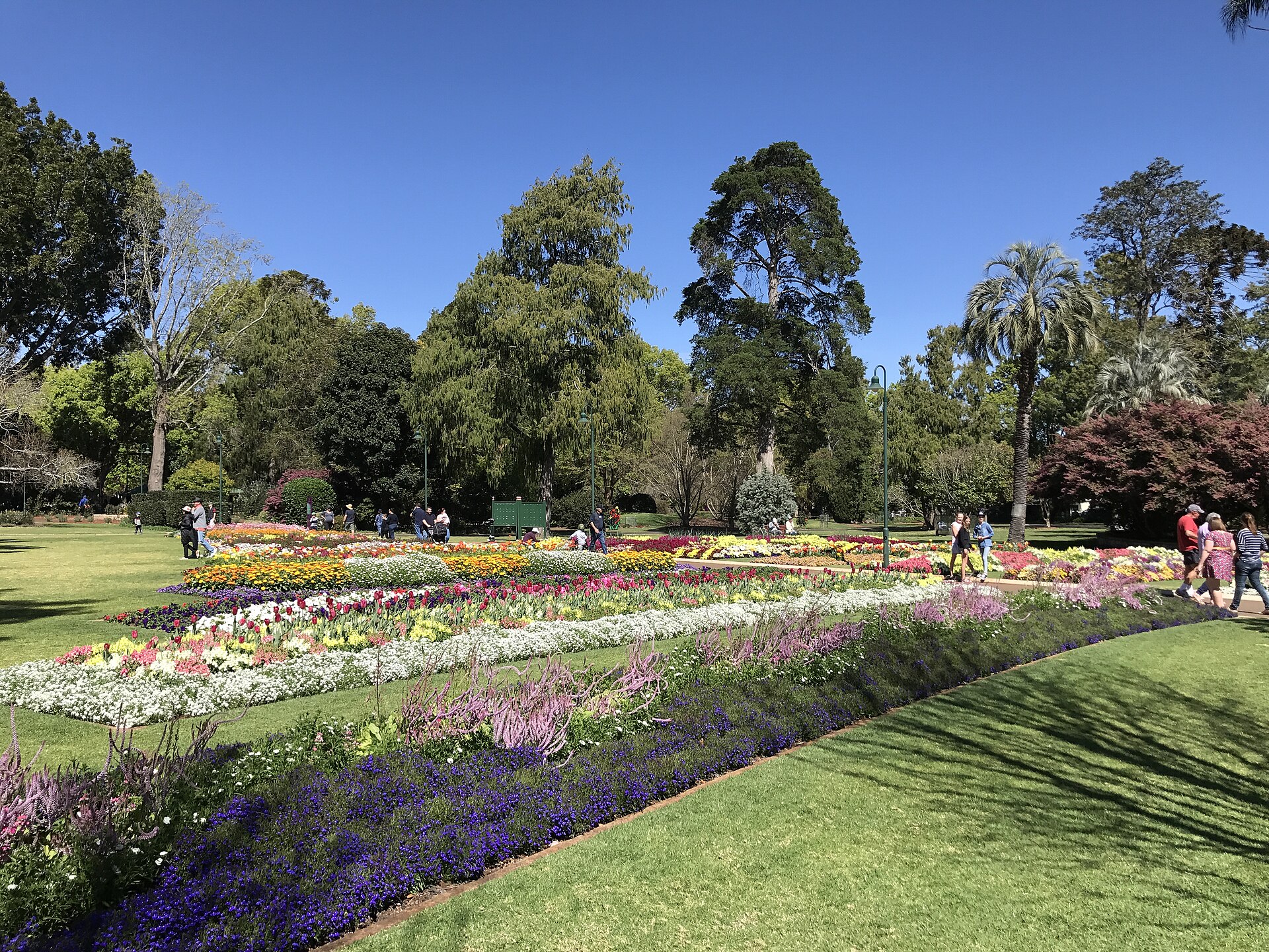 Toowoomba's Winter 2026: Cool Parks, Clear Skies, Quieter Streets