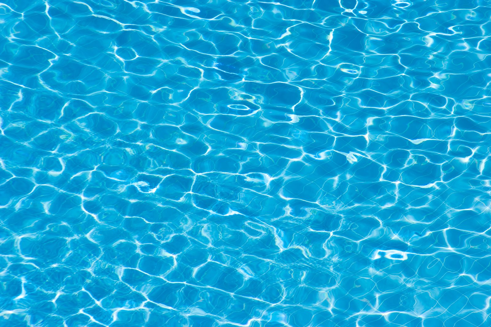 Swimming Pool Builders in Toowoomba 2026, Pool Installation Costs, Types of Pools, and How to Find a Licensed Pool Builder Near You