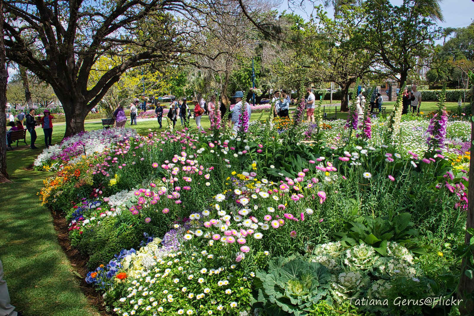 Toowoomba Landscapers 2026: Garden Design Costs and Hiring Guide